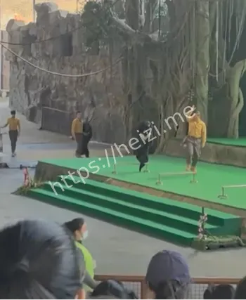 杭州野生动物世界